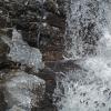 American Dipper at falls on Steep Creek