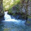 american-dipper-nest-site