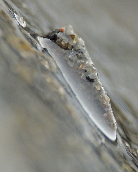 apataniid-case-maker-larva-nugget-falls