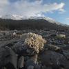 Barnacles in Juneau