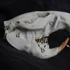 beaver-skull