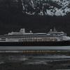 Sitka black-tailed deer and cruise ship