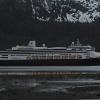 sitka-black-tailed-deer-and-cruise-ship