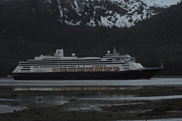 Sitka black-tailed deer and cruise ship