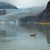 Sitka black-tailed deer and Mendenhall Glacier