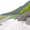 Hoary Marmot at Eagle Beach 01
