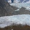 mountain-goat-and-mendenhall-glacier
