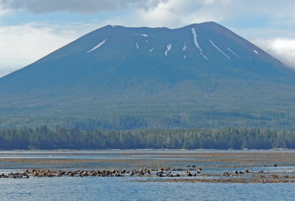 sea-otters-and-mt.-edgecumbe-1
