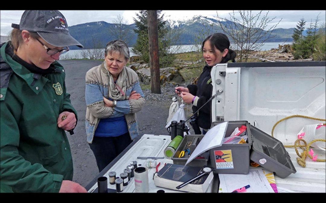 Banding Birds in Wrangell