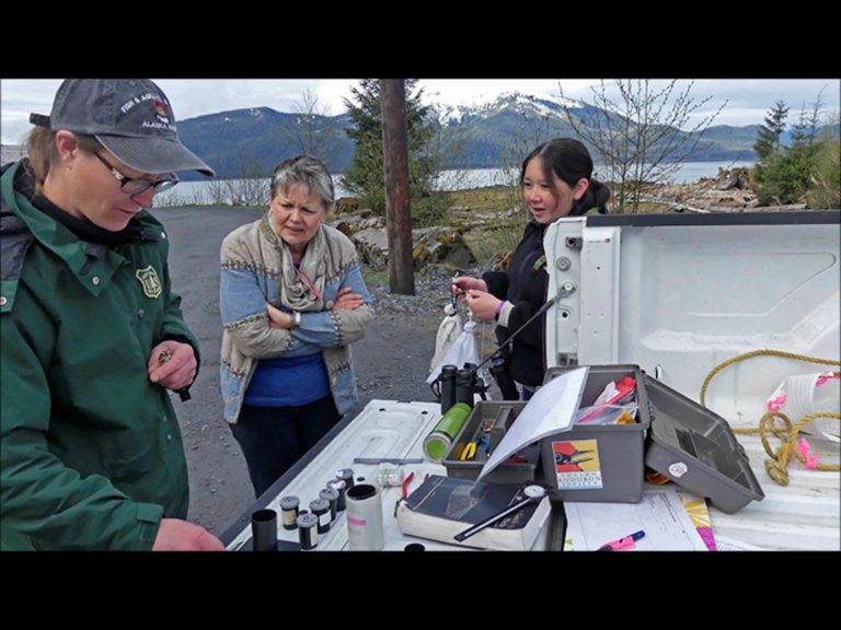 Banding Birds in Wrangell