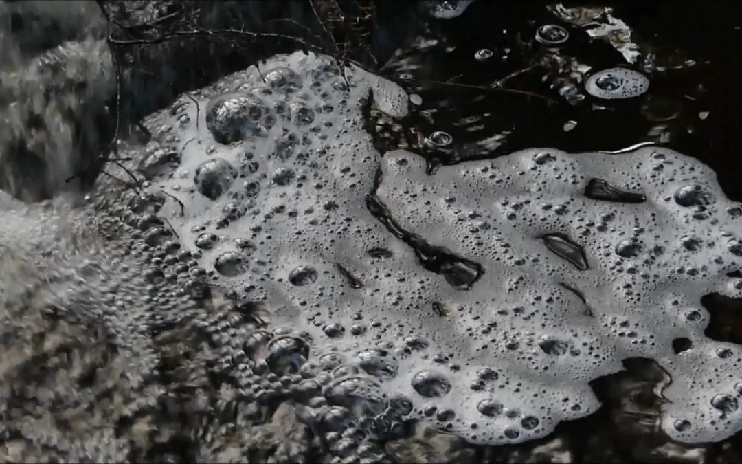 FOAM