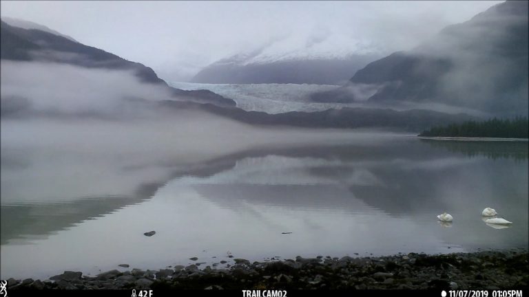 Trumpeter Swans on Mendenhall Lake