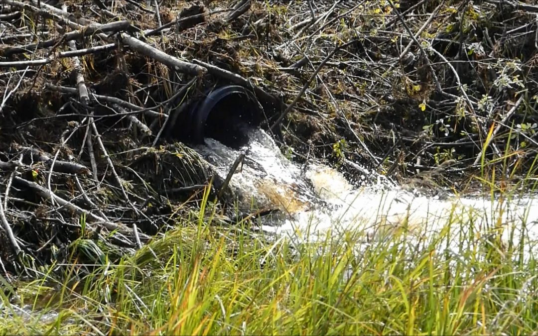 Installing a Beaver Pond Leveler