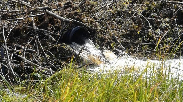 Installing a Beaver Pond Leveler