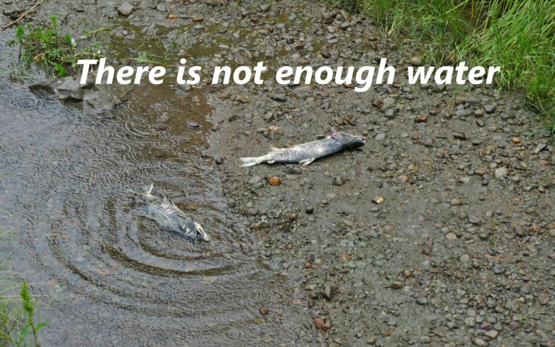 There is Not Enough Water