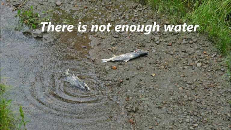 There is Not Enough Water