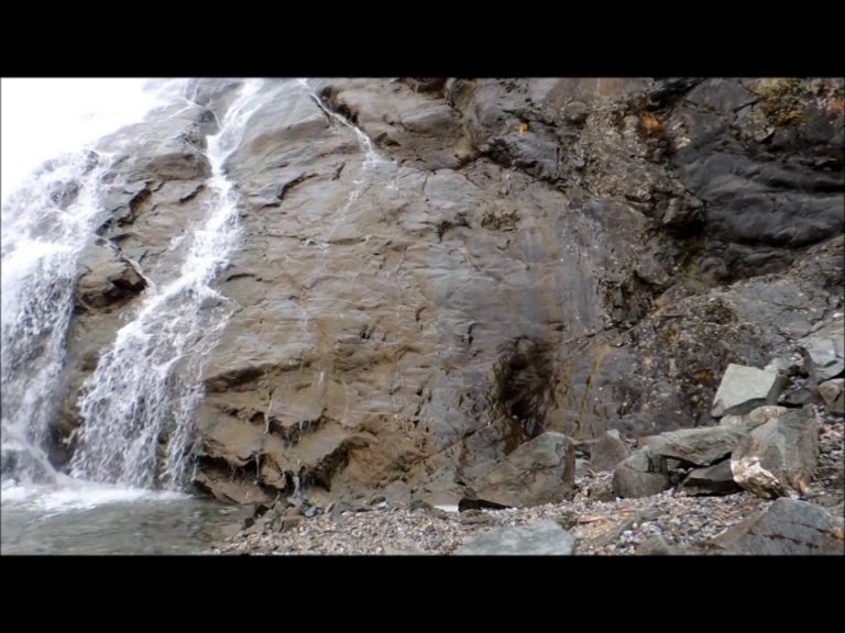 Apatanidd Case Maker Caddisfly at Nugget Falls