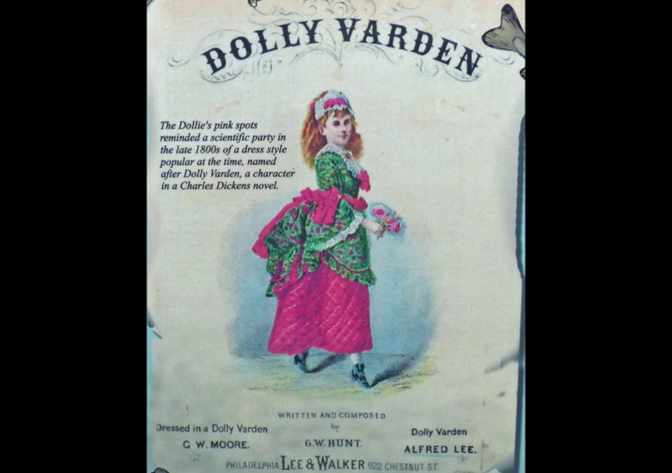 Dolly Performs for GoPro