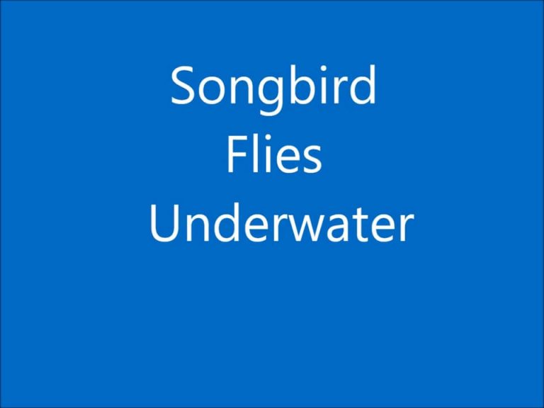 Songbird Flies Underwater 2