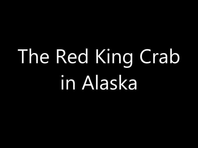 The Red King Crab in Alaska