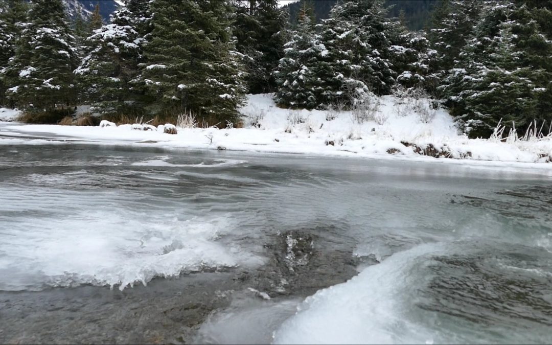 Anchor Ice in Steep Creek by Doug and Bob