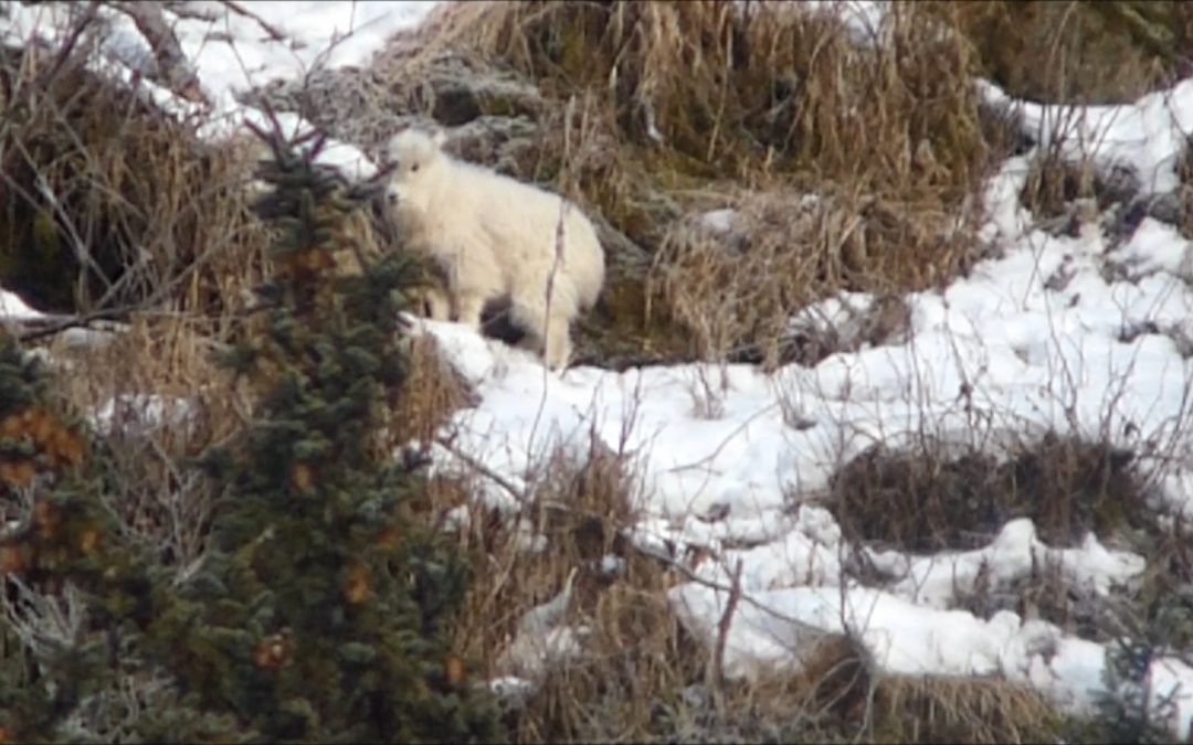 Nanny and Her Kid in Winter