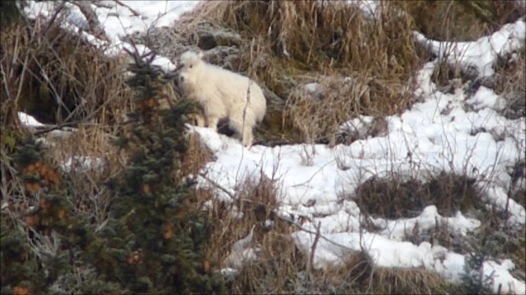 Nanny and Her Kid in Winter