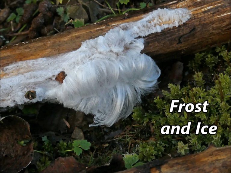 Frost and Ice