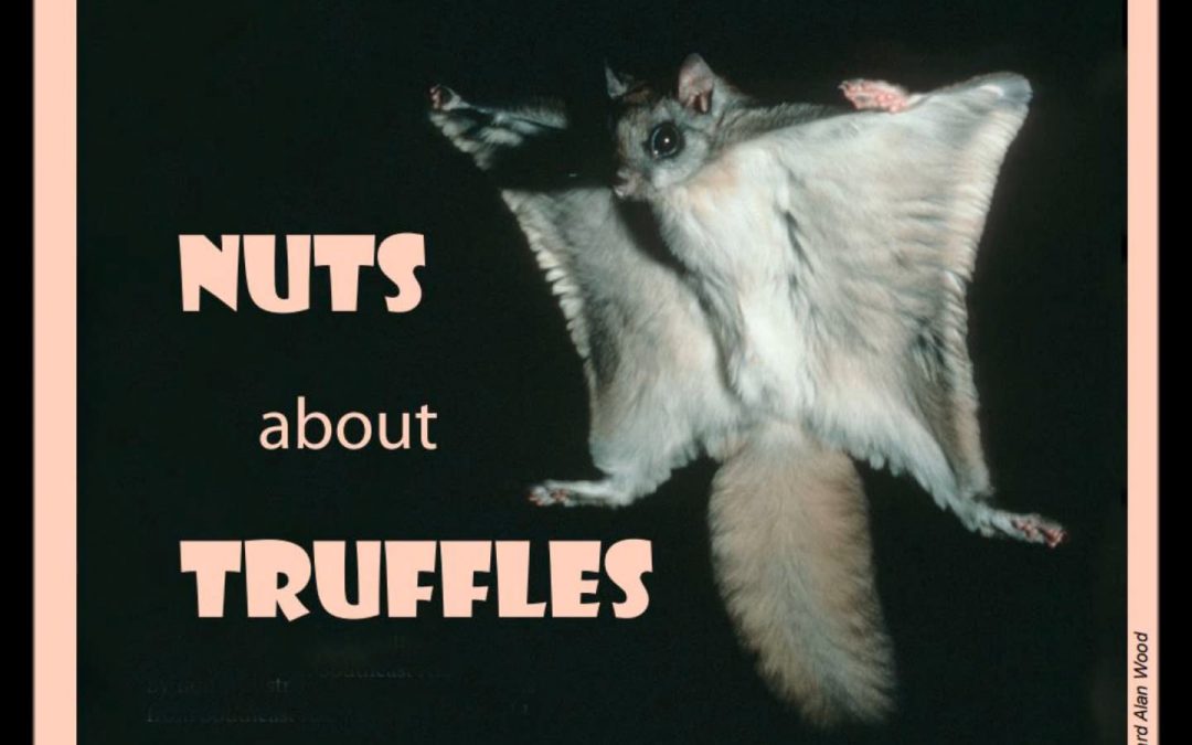Nuts about Truffles