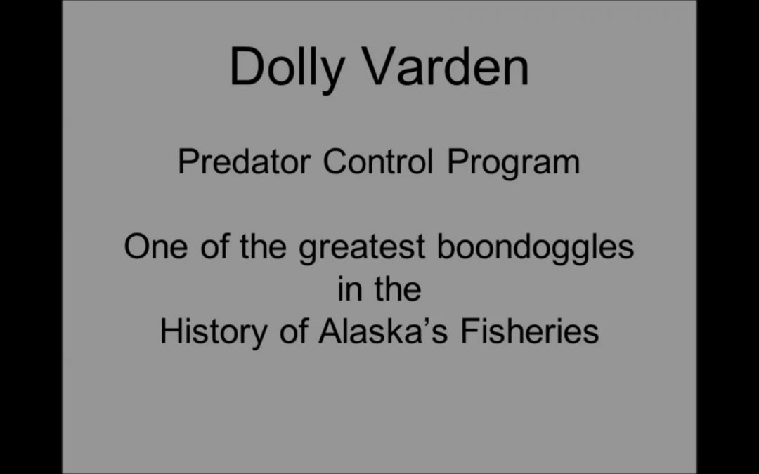 Dolly Varden Predator Control Program