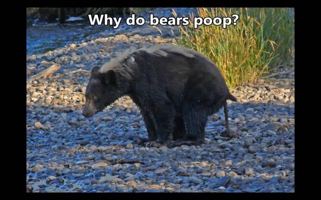 Poop is Important
