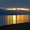 bald-eagle-at-sunset-juneau-with-chilkat-mountains