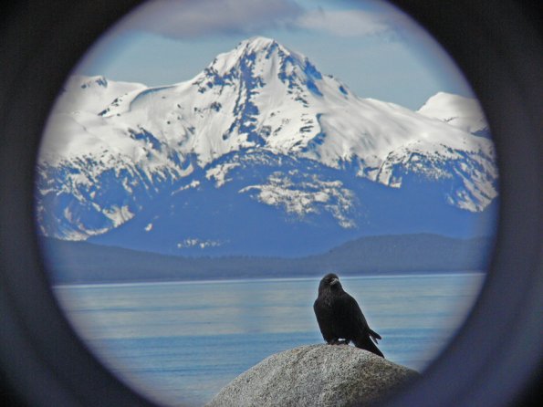 northwestern-crow-mountain