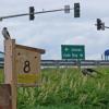 tree-swallow-nesting-box-pioneer-marsh