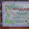 red-alder-sign