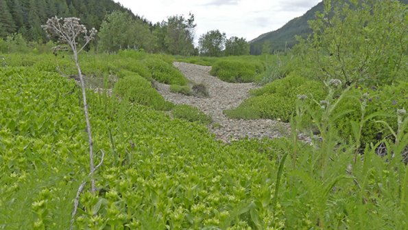 Beach-Greens-at-Eagle-Beach
