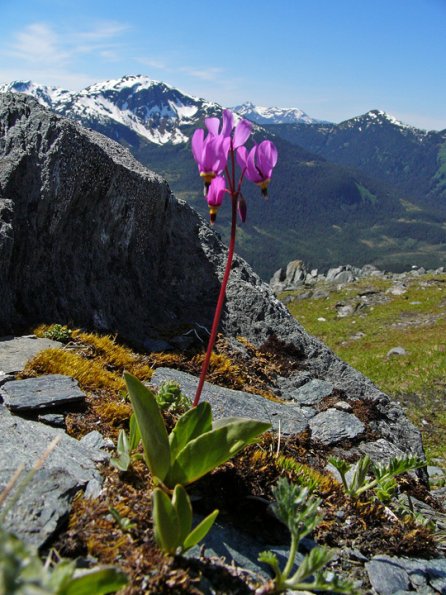 shooting-star-mt-roberts-trail