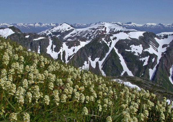 luetkia-and-mountains-1